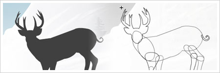 thumb deer small websightings : echogenesis